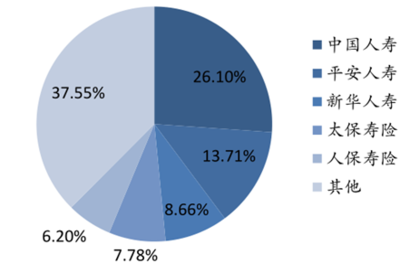 2017-2022年中国人寿保险+互联网市场专项调研与发展趋势研究
