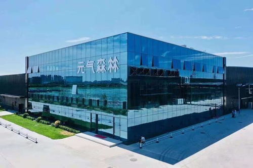 研发驱动，品质为王 元气森林如何通过市场调研铸造更好的产品